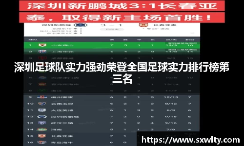 深圳足球队实力强劲荣登全国足球实力排行榜第三名